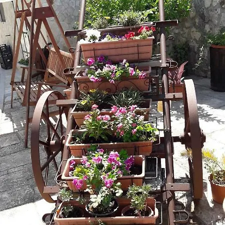 Гостевой дом Paradiso In Campagna