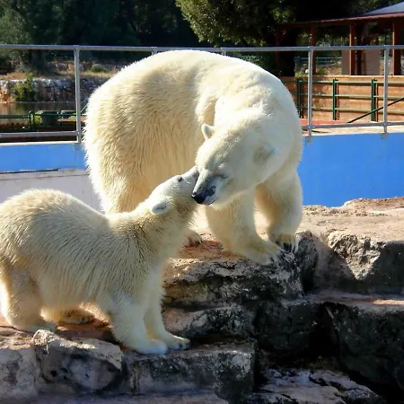 Paradiso In Campagna